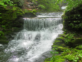 picture taken during a hike