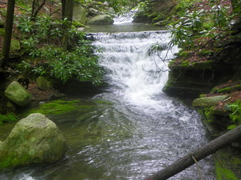 picture taken during a hike