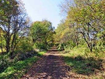 picture taken during a hike