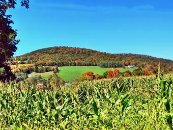 picture taken during a hike