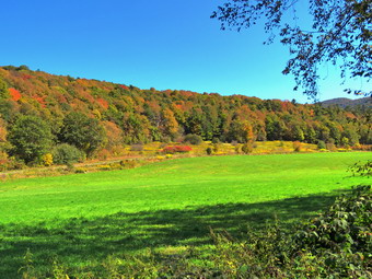 picture taken during a hike