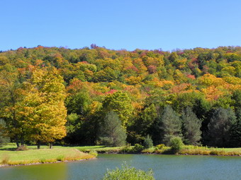 picture taken during a hike