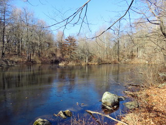 picture taken during a hike