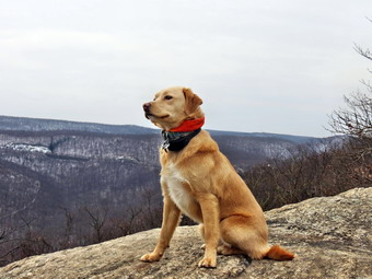 picture taken during a hike