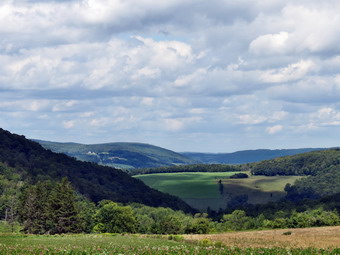 picture taken during a hike