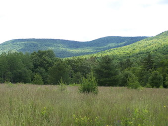 picture taken during a hike