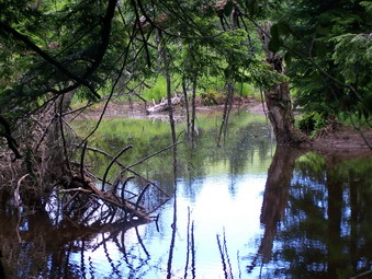 picture taken during a hike