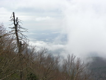 picture taken during a hike