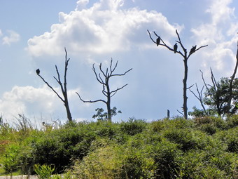 picture taken during a hike