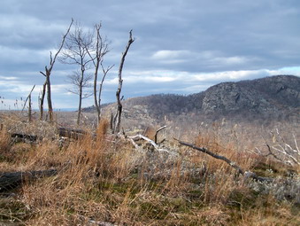 picture taken during a hike