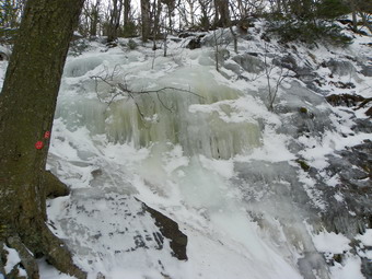 picture taken during a hike