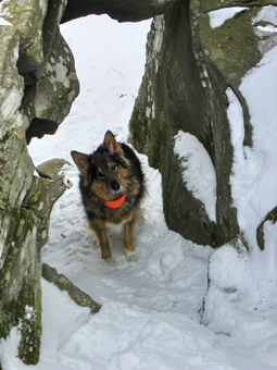 picture taken during a hike