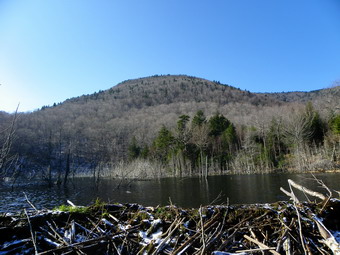 picture taken during a hike