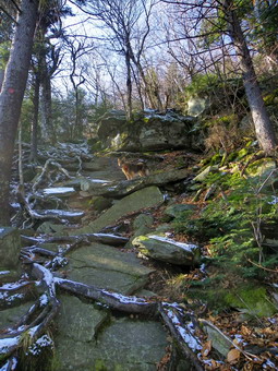 picture taken during a hike