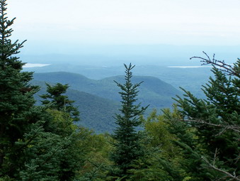 picture taken during a hike