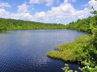 picture taken during a hike