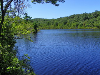 picture taken during a hike