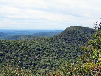 picture taken during a hike