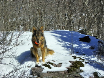 picture taken during a hike