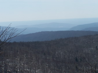 picture taken during a hike