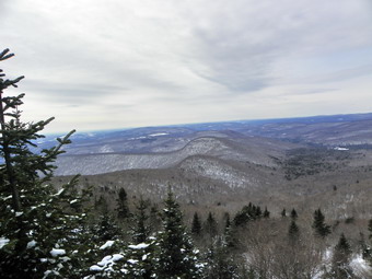 picture taken during a hike