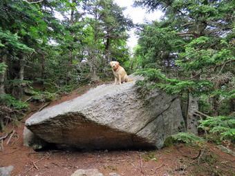 picture taken during a hike