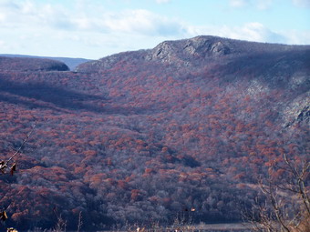 picture taken during a hike