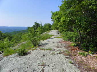 picture taken during a hike