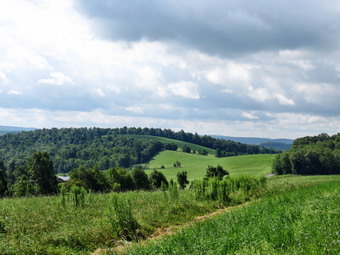 picture taken during a hike