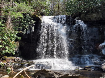 picture taken during a hike