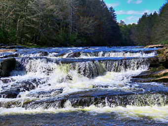 picture taken during a hike