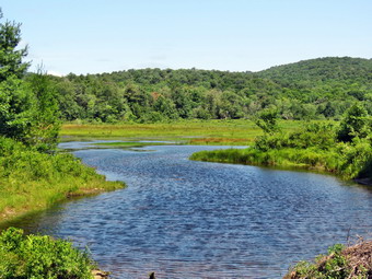 picture taken during a hike