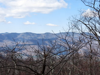 picture taken during a hike