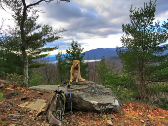 picture taken during a hike