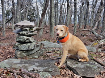 picture taken during a hike