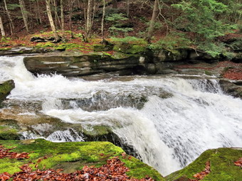 picture taken during a hike