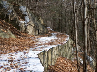 picture taken during a hike