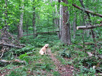 picture taken during a hike