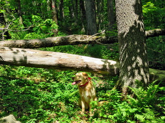 picture taken during a hike