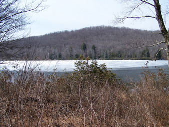 picture taken during a hike