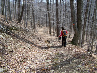 picture taken during a hike