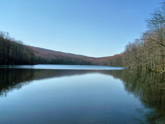 picture taken during a hike