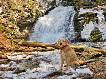 picture taken during a hike