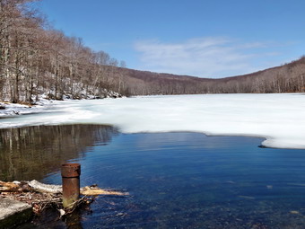 picture taken during a hike