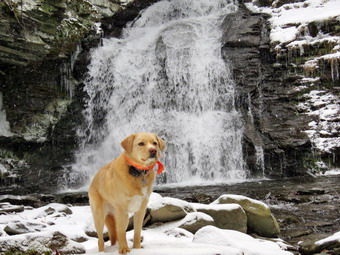 picture taken during a hike