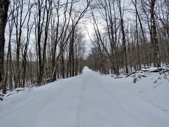 picture taken during a hike