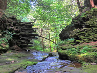 picture taken during a hike