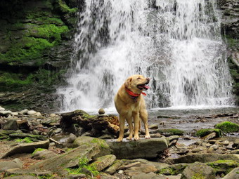 picture taken during a hike