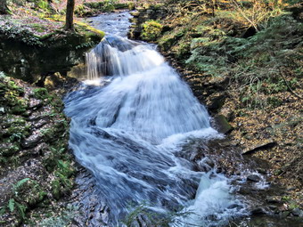 picture taken during a hike