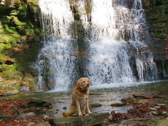 picture taken during a hike